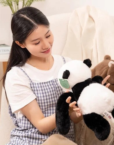 ぎゅっと抱きつく癒しパンダ「パピプ」